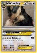 Cute Dog