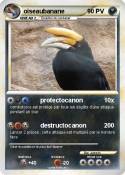 oiseaubanane