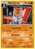 Garfi The Cat