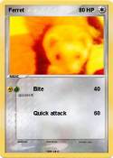 Ferret
