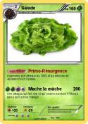 Salade
