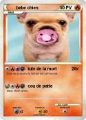 bebe chien