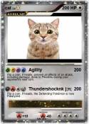 cat