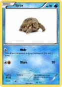 Tortle