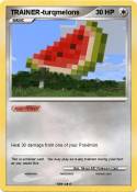 TRAINER-turqmel