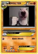 WALTER