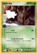 boule dog