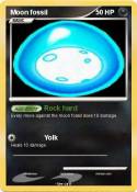Moon fossil