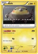 birb
