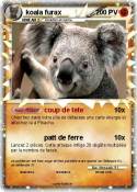 koala furax