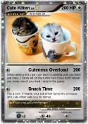 Cute Kitten