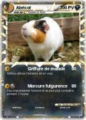 Abricot