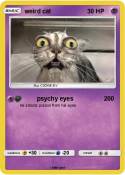 weird cat