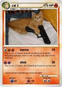 cat 2