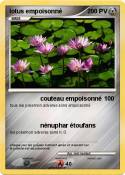lotus empoisonn