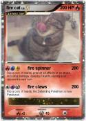fire cat
