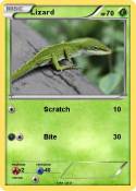 Lizard