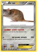 Mr rat