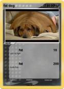 fat dog