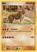 tiger