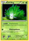 Leaf Slug
