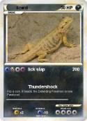 lizard