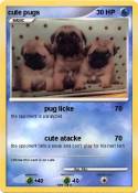 cute pugs
