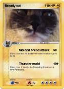Bready cat