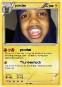 pokcho