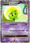 Dandelion