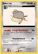 Baker Cat