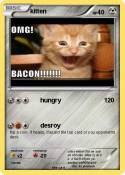 kitten