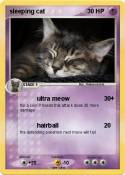 sleeping cat