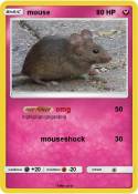 mouse