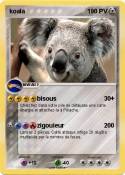 koala
