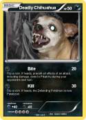 Deadly Chihuahu