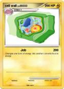 cell wall