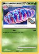 Mitochondria