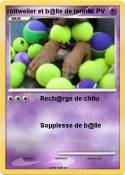 rottweiler et