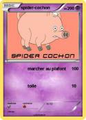 spider-cochon
