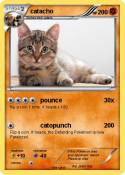 catacho