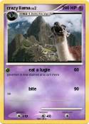 crazy llama