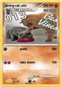 strong cat