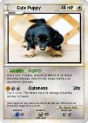 Cute Puppy