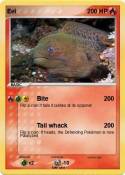 Eel