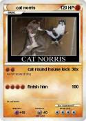 cat norris
