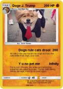 Doge J. Trump