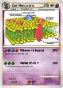 Cell Membrane