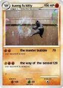 kuong fu kitty