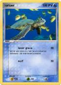 tortuer